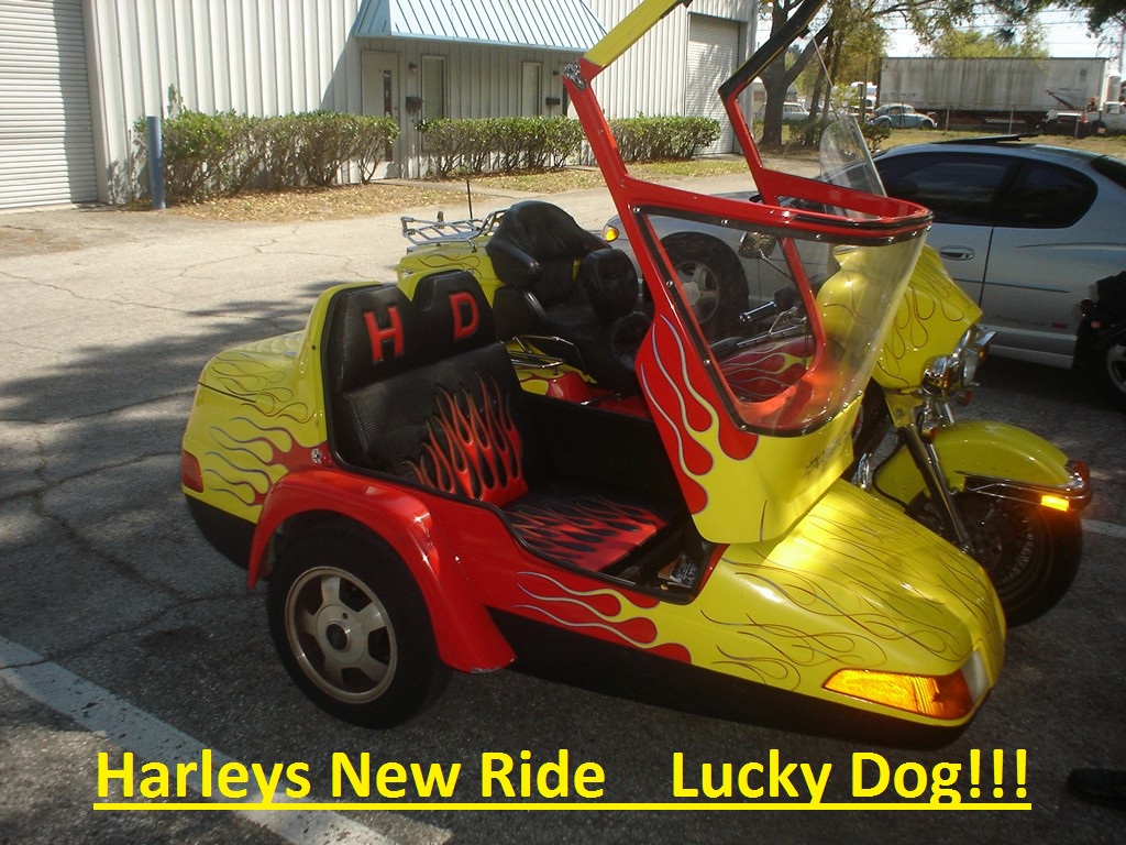 Harleys Ride What a Lucky Dog